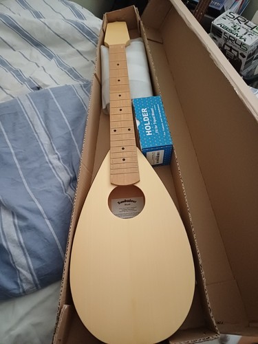 Cittern guitar kit - cittern,