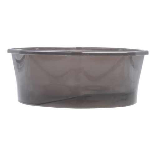 Semi transparent tortoise - semi-transparent,