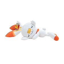 NEW Pokémon Sleeping