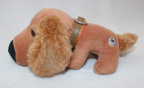 Dachshund the dog - ,