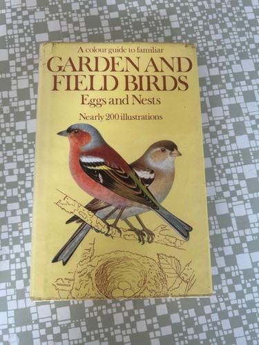 Garden and field birds - field,