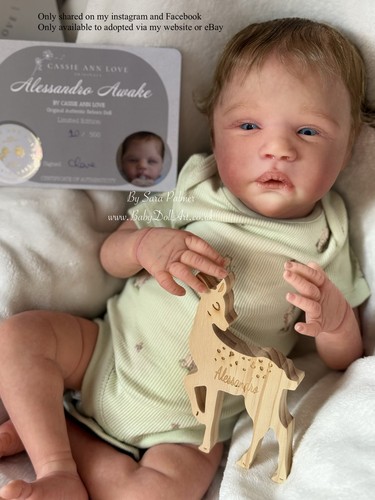 Reborn baby boy - reborn,
