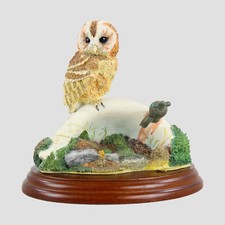 Tawny Owl on Sink Border Fine