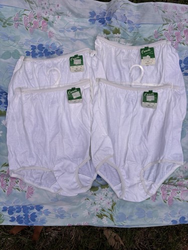 Vtg carole brief panties - vtg,
