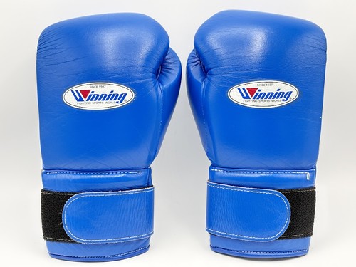 Winning boxing gloves - winning,