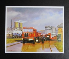 9.10" x  7.20"   MALCOLM ROOT