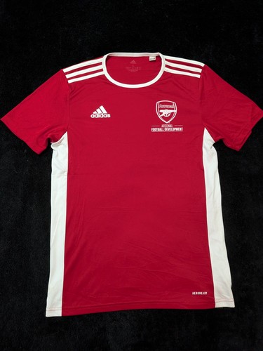 Arsenal football development - football,