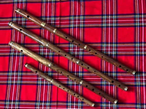 Irish traditional flute - irish, d