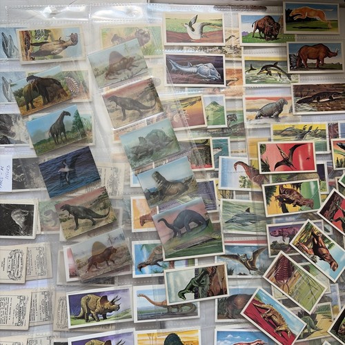 Np604 mixed lot dinosaur - np604,
