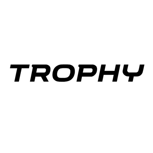 Pair trophy bumper blade - bumper,