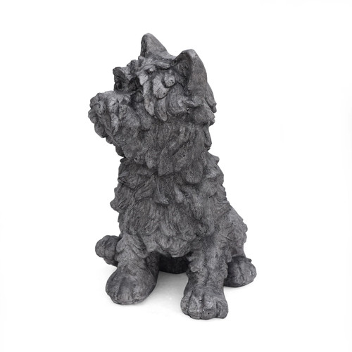 Outdoor terrier dog - dog, garden