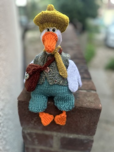 Hand knitted duck - cm, with