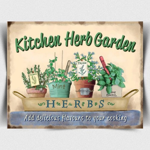 Kitchen herb garden - kitchen,