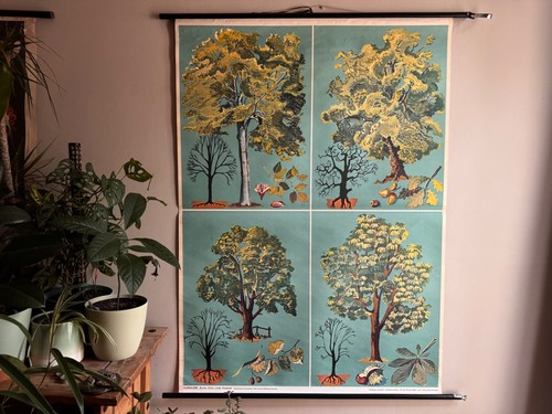 Vintage botanical roll down - roll,