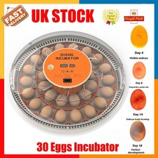 Egg Incubator Hatching Machine Breeder Portabel Chicken Eggs Hatcher for 30 Eggs