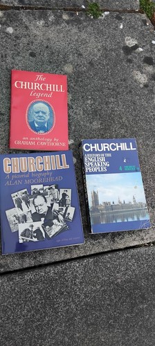 Winston churchill vintage book - churchill,