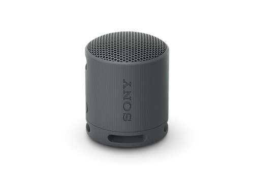 Sony srs xb100 portable - srs-xb100,