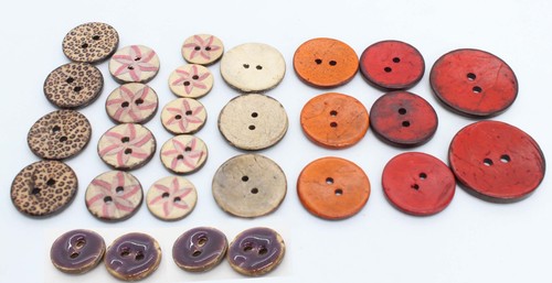 2hole coconut shell - coconut,