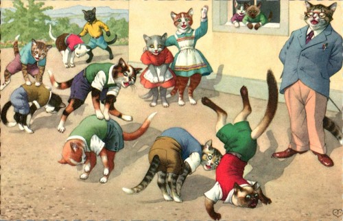 Cats playing leapfrog - playing, in