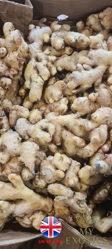 500g fresh organic ginger - fresh,