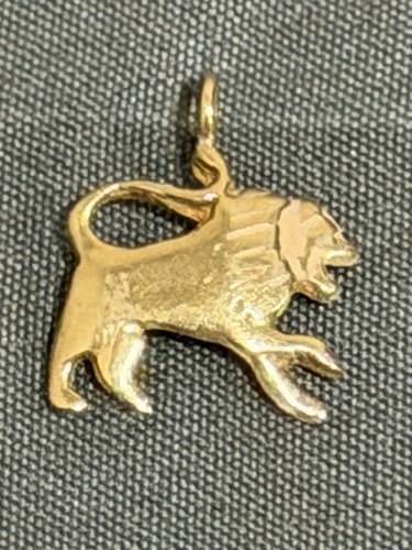14k yellow gold lion - 14k,