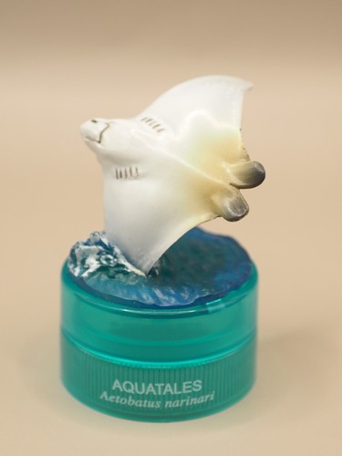 Aquatales kuroshio fish - aquatales,