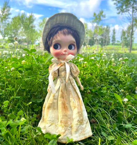 Blythe doll clothes - doll, handmade
