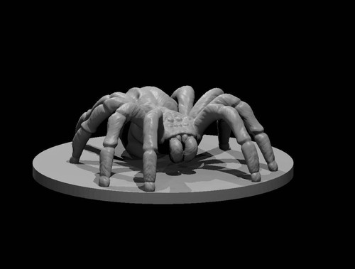Giant spider for dungeons - giant,