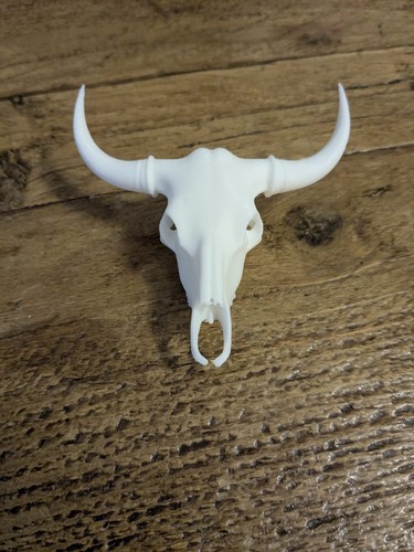 Miniature skull with horns - with,