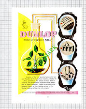 Dunlop Rubber / Triumph Mayflower Car Advert - 1951 Cutting