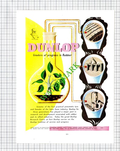 Dunlop rubber triumph - rubber, /