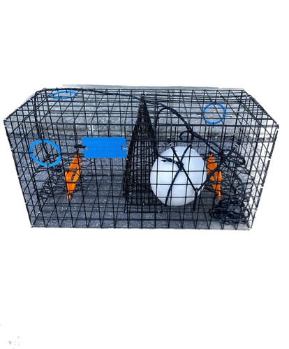 Metal maryland crab trap - metal,