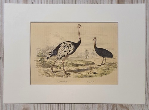 1852 lithograph art - lithograph,