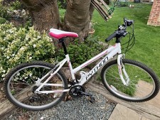 Python Rock Mountain Bike