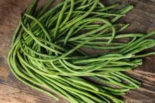 15 Yard Long Beans - Un Metro Ramp Seeds