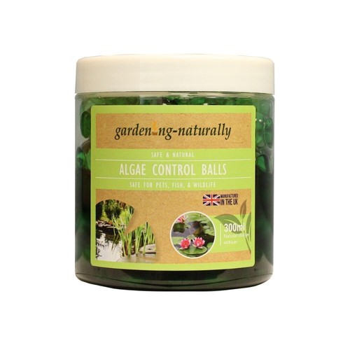 Natural algae control - natural, pond
