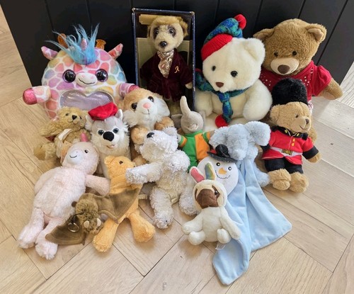 Large teddy plush - large,
