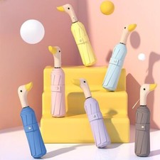 Wooden Duck Mouth Rainy Sun