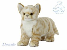 Hansa Ginger Tabby Kitten 7224