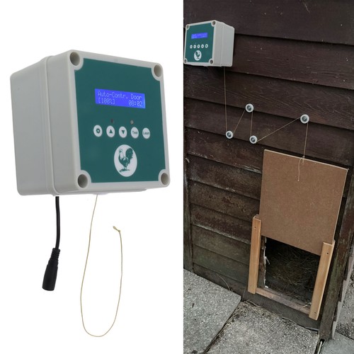 Plug automatic chicken - uk,