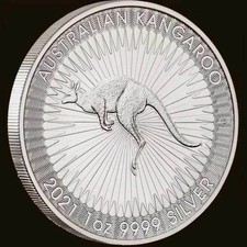 1oz solid 99.99% silver coin