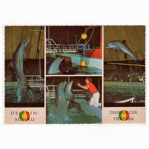 Postcard tierpark - postcard,