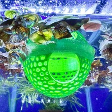 Floating Betta Fish & Shrimp Hammock | Aquarium Rest Perch Hide Breeding Cave