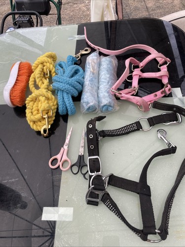 Horse pony halters lead - 5,