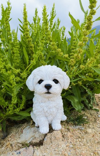 Pet pals puppy - pet,