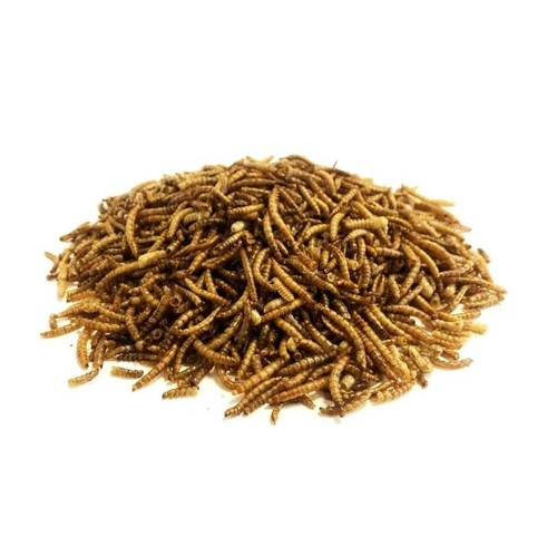 Wild bird dried mealworm - wild,
