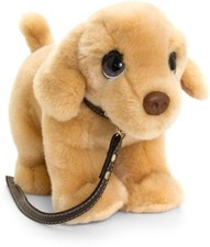 Keel Golden Labrador Puppy Dog