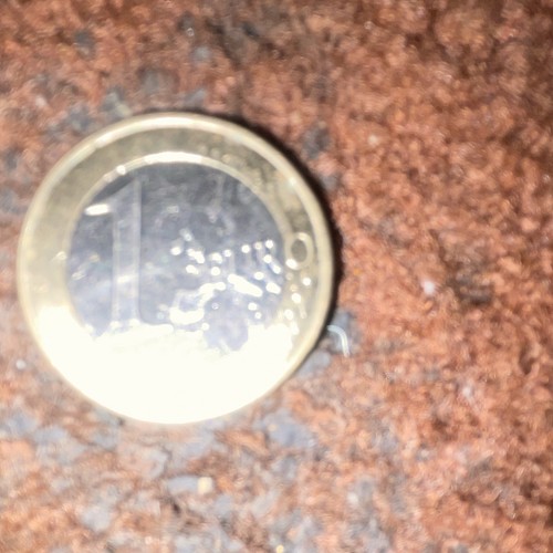 Euro bimetal coin - 1, (€1)