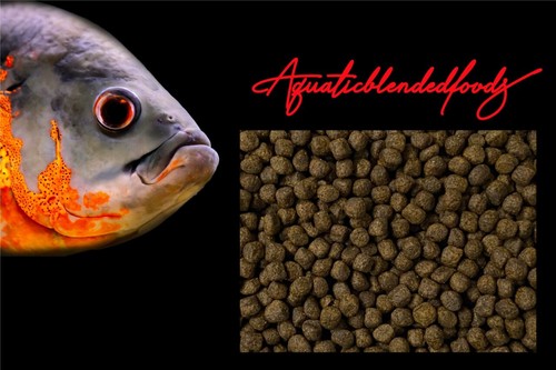 Abf ultra pellets - pellets, 8mm