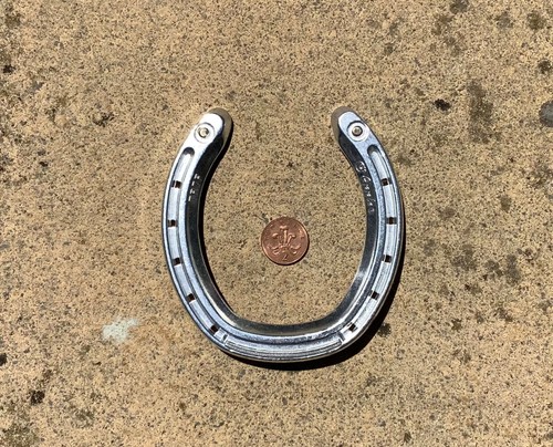 Horse shoe lucky - horse,